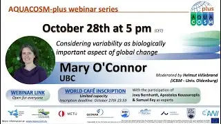 Considering variability as biologically important aspect of global change