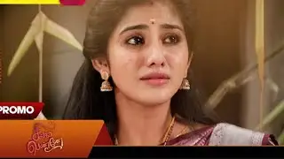 Trend Sarees Available காட்டன்/ காஞ்சி காட்டன் சாரீஸ் 