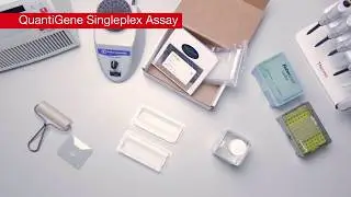 How to Set Up and Calibrate Equipment for QuantiGene Assays