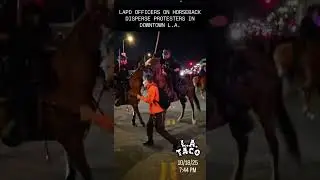 LAPD on horseback disperse protesters on No Kings Day in downtown L.A.