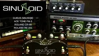 Gurus Sinusoid Demo ft. Roland CR-68, RE-201 Space Echo and Ace Tone FM-3