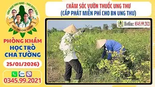Chăm Sóc Vườn Thuốc Ung Thư (25/01) - Cấp Phát Miễn Phí Cho BN Ung Thư
