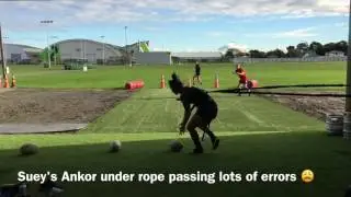 Skill Based Training - Kristina Sue passing