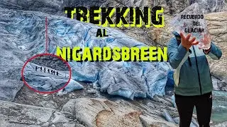 TREKKING AL GLACIAR NIGARDSBREEN