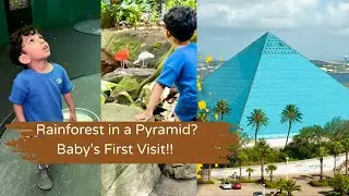 Baby's FIRST Rainforest Trip! | Moody Gardens Galveston Tour