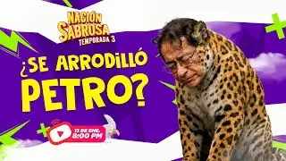 Esto fue lo que ENTREGÓ PETRO para poder hablar con TRUMP