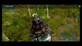 Making the fastest turtle 