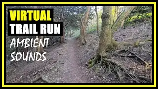 Virtual trail run - 5k trail running through woods with ambient sounds