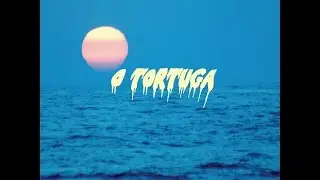 08 Gente OVNI // O Tortuga
