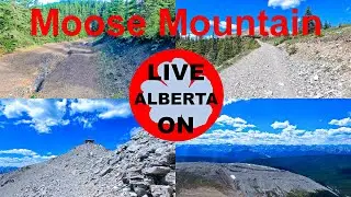 The ULTIMATE SUMMER ADVENTURE AWAITS: Moose Mountain #canadianrockies