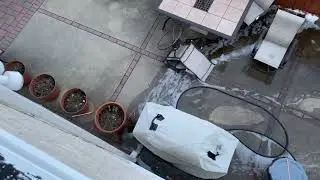 Clogged roof drain