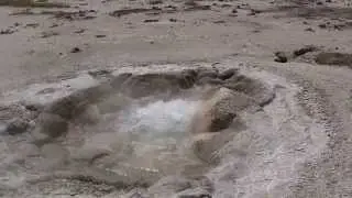 Shell Spring, Yellowstone National Park
