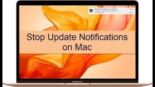 How to Stop System Update Notifications on Mac