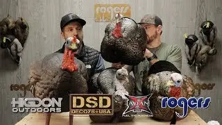 1/4 Strut Jake Turkey Decoy Comparison
