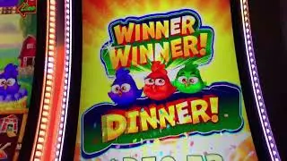 Big Win !!! on Crazy Chickens Slot Machine #slot #gamble