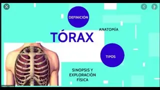 exploracion fisica del torax