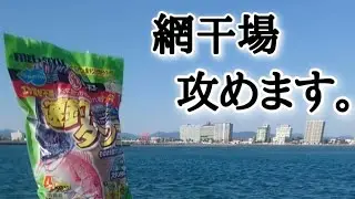 【浜名湖釣り】🎣バッカンいらず、餌混ぜ不要、釣りが初められるダンゴ餌🐟（チヌ狙い）＋α