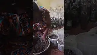 Mushroom Substrate Preparation: Cotton Husks Sterilization Technique