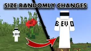 Minecraft, but Your Size Randomly Changes When You Take Damage