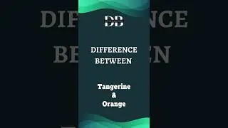 Difference Between Tangerine and Orange | Tangerine or Orange? Discover the Sweet Difference!