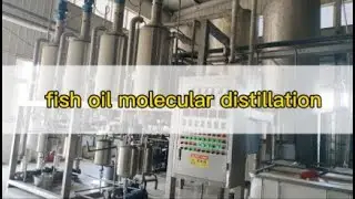 fish oil molecular distillation machine