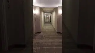 Rudy having fun in a empty hotel.