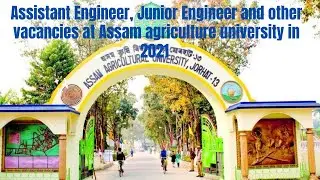 ASSAM AGRICULTURE UNIVERSITY ASSISTANT ENGINEER JUNIOR ENGINEER VACANCY 2021