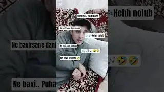 Pələng əsəbləşib 