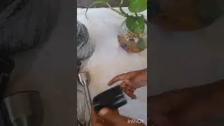 this is agaro  grand 1000 walts  hand blender with chopper  this is am amazing  link in description