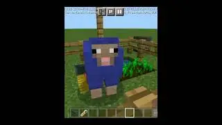 How to make rainbow sheep in minecraft pocket edition. #shorts