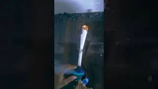smok system Danger #shortvideo #pure royal king#