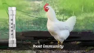 Alkara | Poultry |Poultry Farm Hard Water Solutions | Poultry Farm Equipment | Poultry Farm | Water