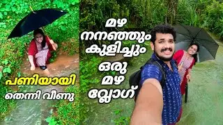 വീണു 🤕 മഴ കാണാൻ ഇറങ്ങിയതാണ് അടി തെറ്റി       Pineapple Couple | Monsoon Vlog | Our Village
