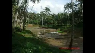 IV-Silver ap project in agriculture