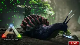 Taming LvL 1 Snail And Bronto #arkmobile #arklive