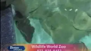 Wildlife World Zoo and Aquarium