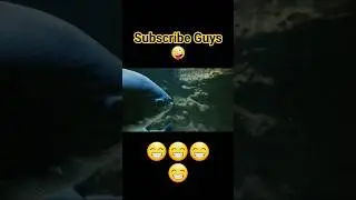 Huge Black Paccu Fish In Aquarium😻 #shorts