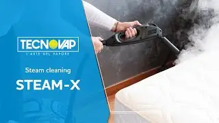 Steam-X: fight bedbugs with Tecnovap
