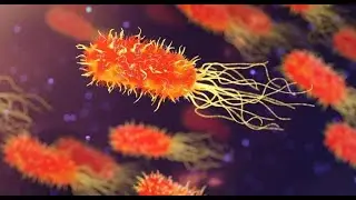 100 Million Times More Difficult: Revolutionary Dual Action Antibiotic Makes Bacterial Resistance