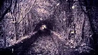 David Moleon vs Dan Diamond - Terrorsound Therapy (Bjorn's Threshold Mash)