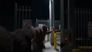 Bigfoot Yeti Area51 Vlog!