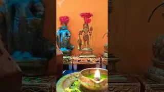 வேலுண்டு வினையில்லை மயிலுண்டு பயமில்லை 🙏✨ #muruga #poojaday  #shortsfeed #shortsviral #shorts