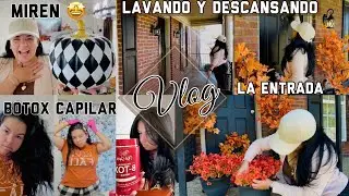 SeptVlog#2 |Limpiamos y Decoramos la entrada de Casa |Botox Capilar |Miren que belleza|NadyVlogs