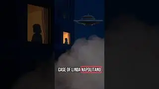 The Brooklyn Bridge Alien Abduction