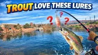 Fishing A Pond Loaded With Stocked Trout | Skyline Park Pond St. George Utah #zion #troutfishing