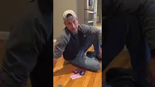 Natural selection activity part 2