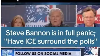 Steve Bannon is in full panic: 
