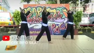 Penampakan Arum Dara Tunggal Putri / Pelatnas Pencak Silat Indonesia Sebelum Berhijab PSHT  💯⁉️🚷