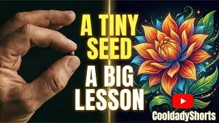 A Tiny Seed and a Big Lesson