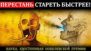 99% Людей Стареют Быстрее Из-За Этой Скрытой Ошибки Мозга